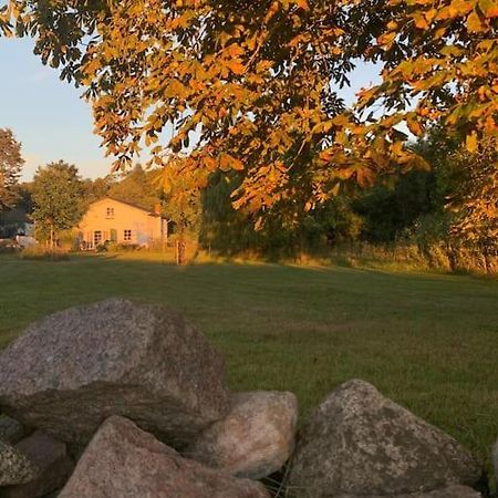 Landhaus „Blattgold“ Lohme Exteriör bild