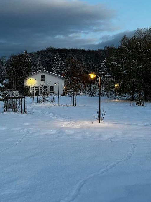 Landhaus „Blattgold“ Lohme Exteriör bild